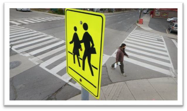 22. pedestrians and bicycle riders do not have to obey traffic signals.